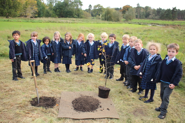 Culford Reception Tree Plating - Reception Class with their new tree