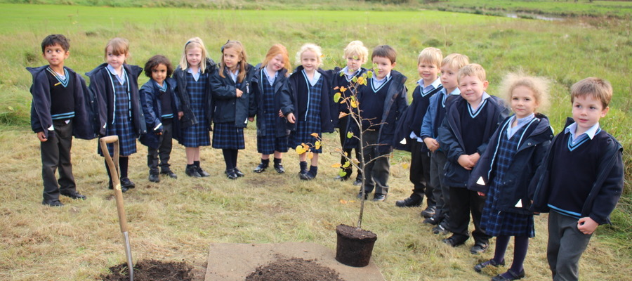 Culford Reception Tree Plating - Reception Class with their new tree