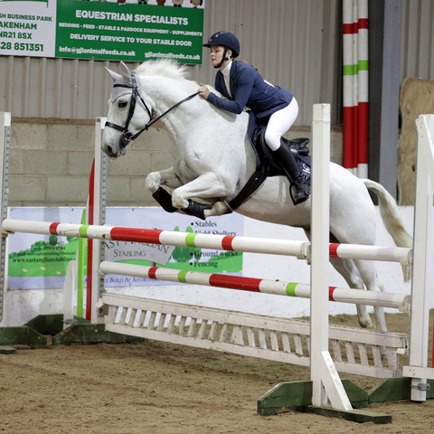 Equestrian Forest Edge